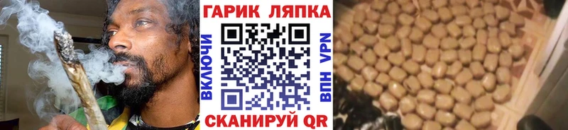 дарк нет клад Боровичи ГАШ hashish