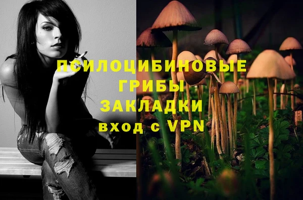 ALPHA-PVP Армянск
