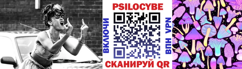 цена   Боровичи  Галлюциногенные грибы Psilocybe 